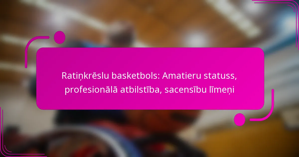 Ratiņkrēslu basketbols: Amatieru statuss, profesionālā atbilstība, sacensību līmeņi