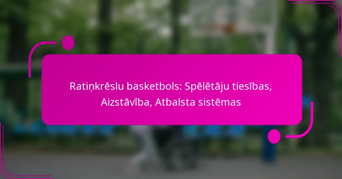 Ratiņkrēslu basketbols: Spēlētāju tiesības, Aizstāvība, Atbalsta sistēmas